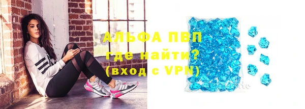 гидра Вязники