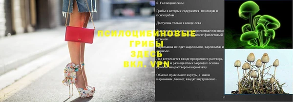 соль ск Вязьма
