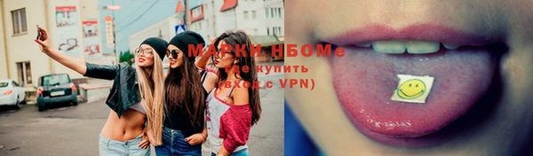 ECSTASY Горняк