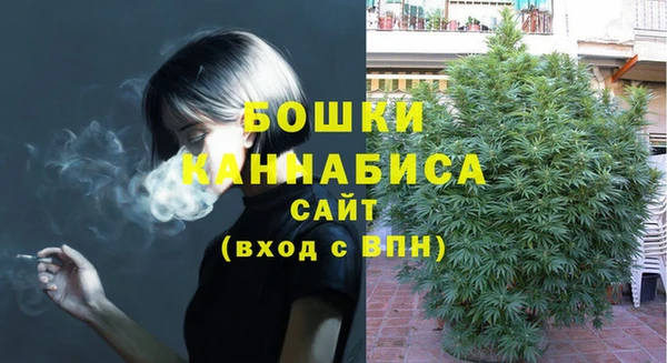 соль ск Вязьма