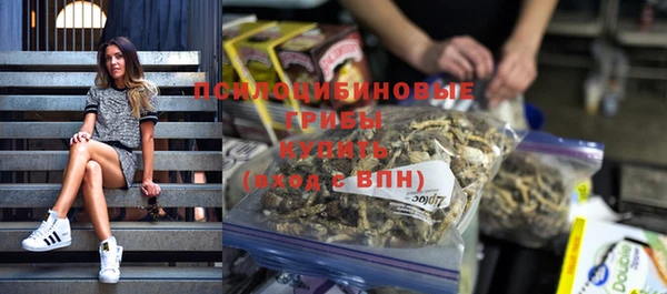 спиды Горнозаводск