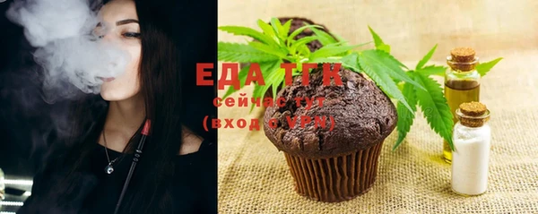 ECSTASY Горняк